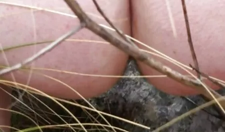 Trinh tiết đai nô lệ thô cực khoái sec loan luan me va con