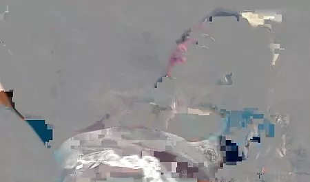 Một con chó cái cho thấy cô phim sec hai me con ấy boobies