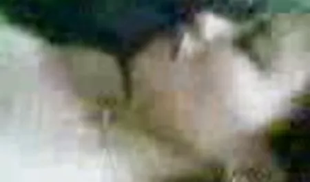 Cô gái phim sec loan luan me con dit nhau tóc vàng thích một ba người, nhưng cô ấy thích tự lấp đầy giá của mình