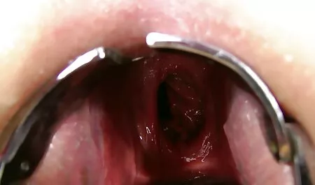 Gỗ mun cô gái với phim sec loan luan me va con khổng lồ tits fucked trong âm đạo và titjob