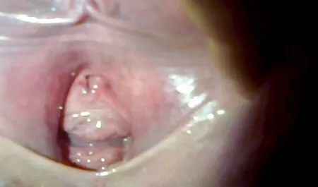 Đẹp bitches được fim sec me con fuck trên các sân bóng rổ