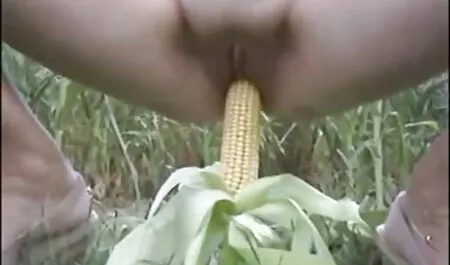 Con chó cái nhấc một chân lên cầu thang và rên rỉ vì sự phim sec me gia xâm nhập thô bạo